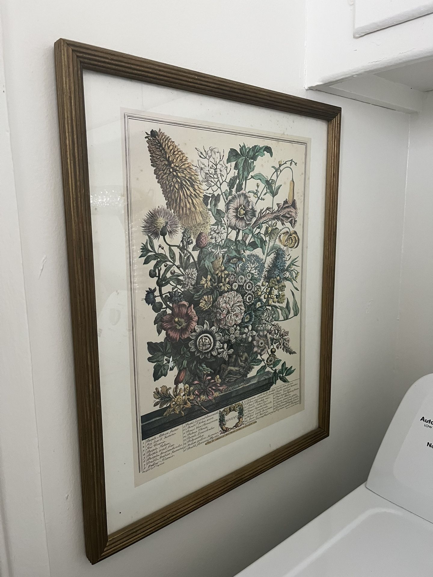 Vintage Framed Art