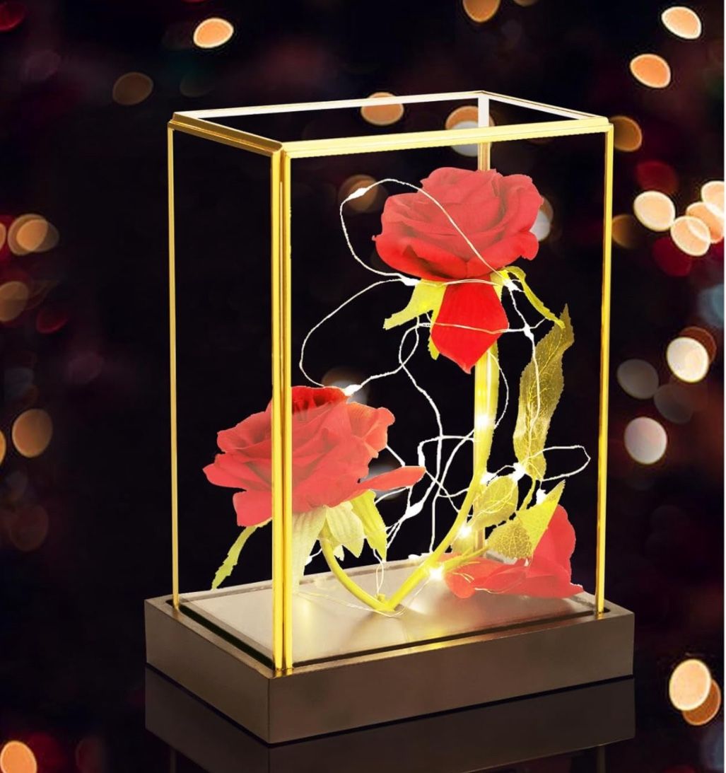 Glass Rose Gifts for Women, Birthday Gifts for Women, Flowers for Delivery Prime, Gifts for Her, Light Up Red Rose in A Glass, Preserved Rose for Moth