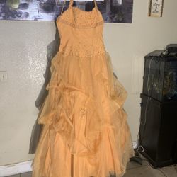 Dress (Quinceañera) #2