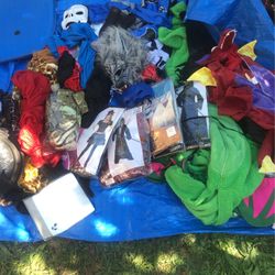 Lot Of Halloween Costumes 