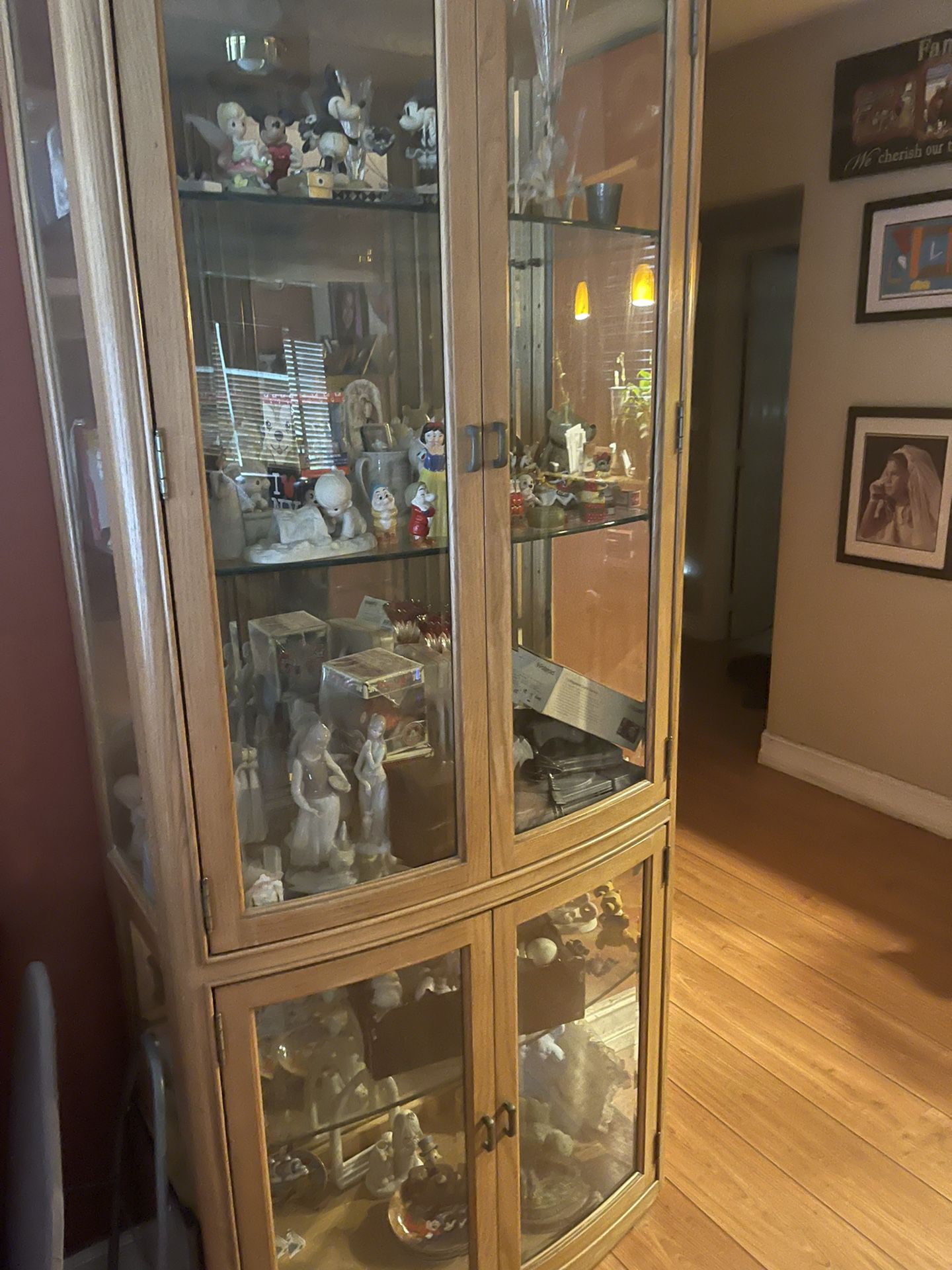 Glass Curio Cabinet With 5 Glass Shels