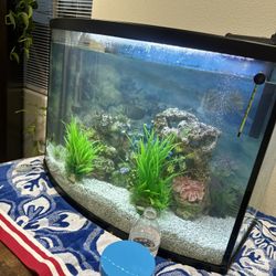 50 Gallon Fish Tank