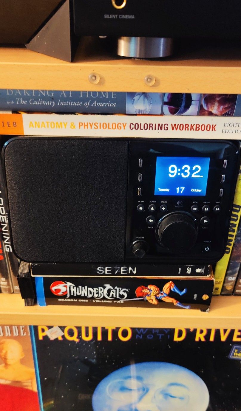 Logitech Squeezebox Radio 📻