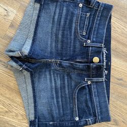 American Eagle Size 4 Stretch Shorts