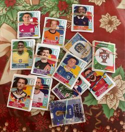 Panini Necesito / I need