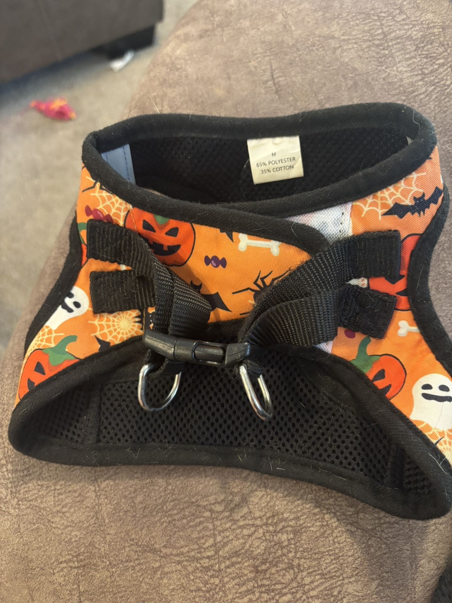 Dog Harness