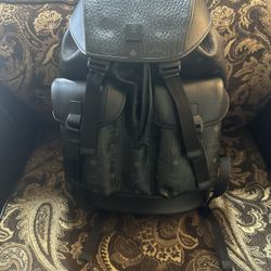 BRANDENBURG BACKPACK IN VISETOS
