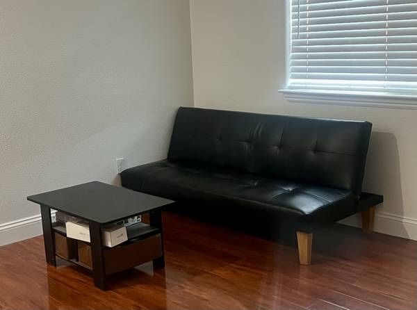 Futon and Coffee Table