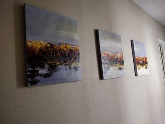 3 Oil Paintings 