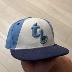 Tampa Bay Rays Hat