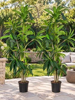 2 pcs new in box   Dracaena tree artificial plant 2x$180