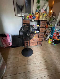 Fan