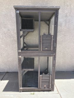 Catio