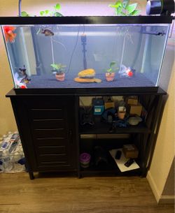 Fish tank with stand