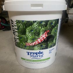 Saltwater Aquarium salt