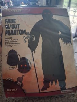 Adult costume