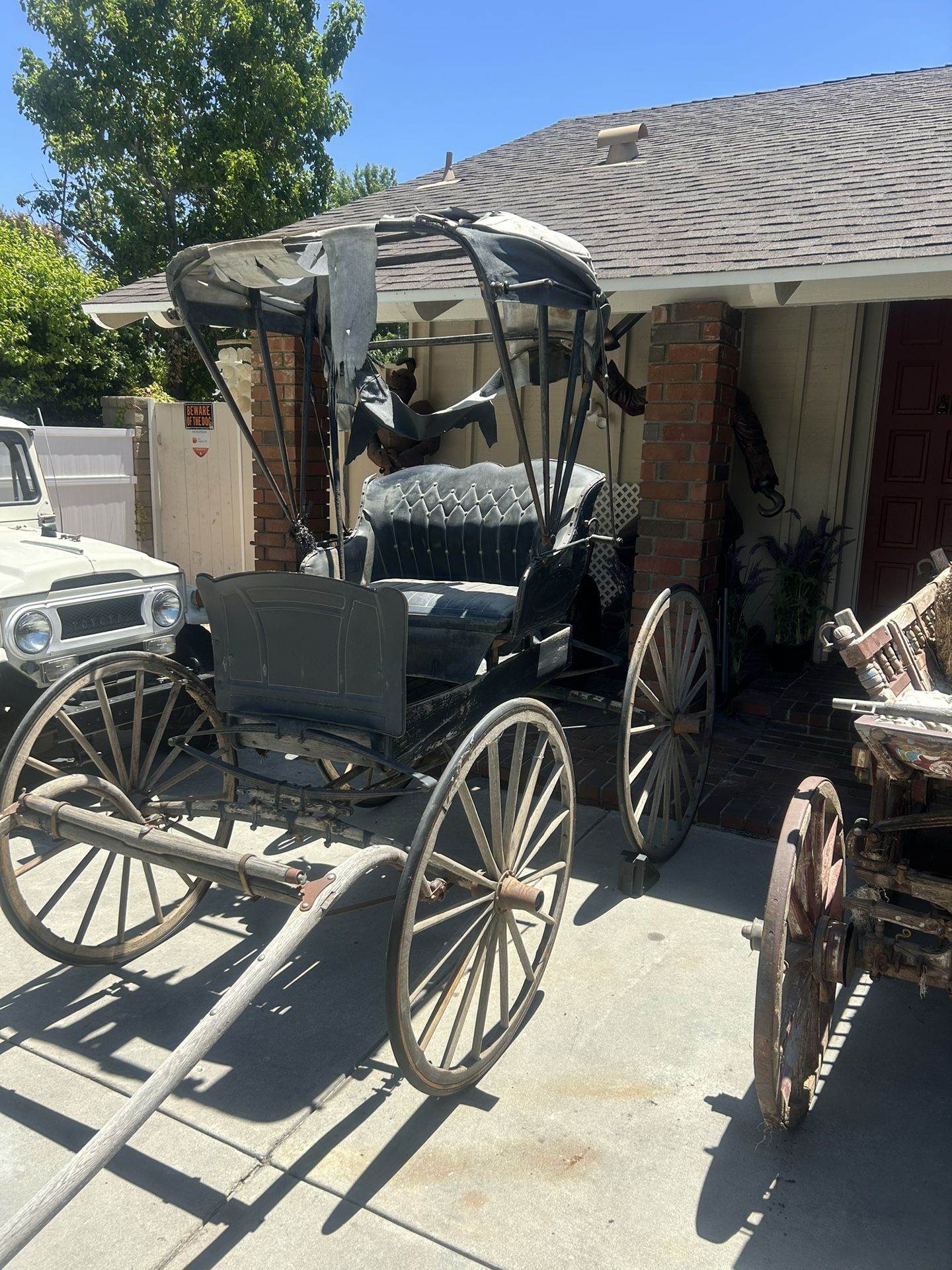 Horse Carriage Doctors Buggy