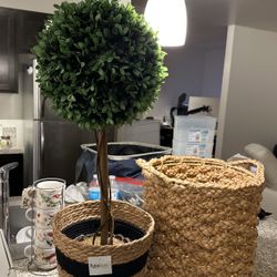Faux Plant And Knitted Basket 