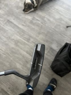 Wilson Putter