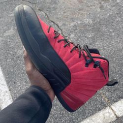 Air Jordan 12