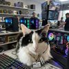 Luna Tech