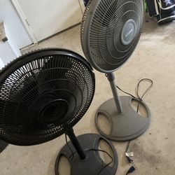 Fans 