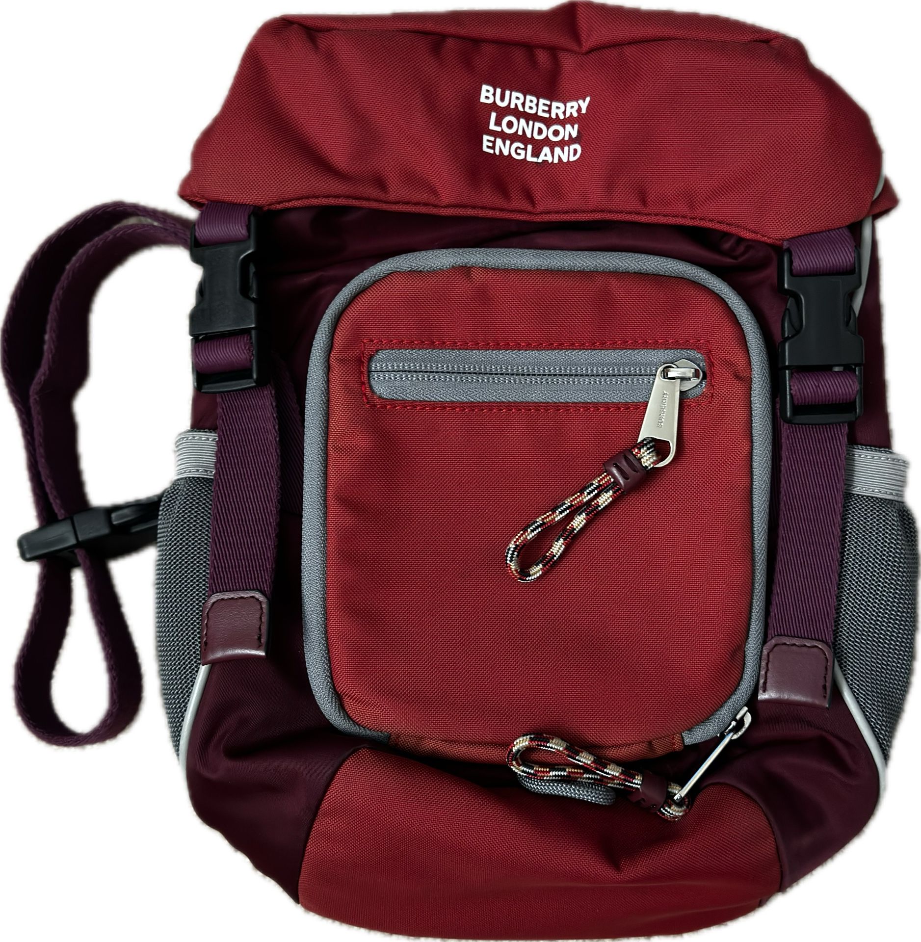 Burberry Multi Functional Sling Bag
