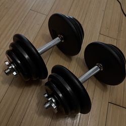 adjustable dumbells 32.5 pounds each