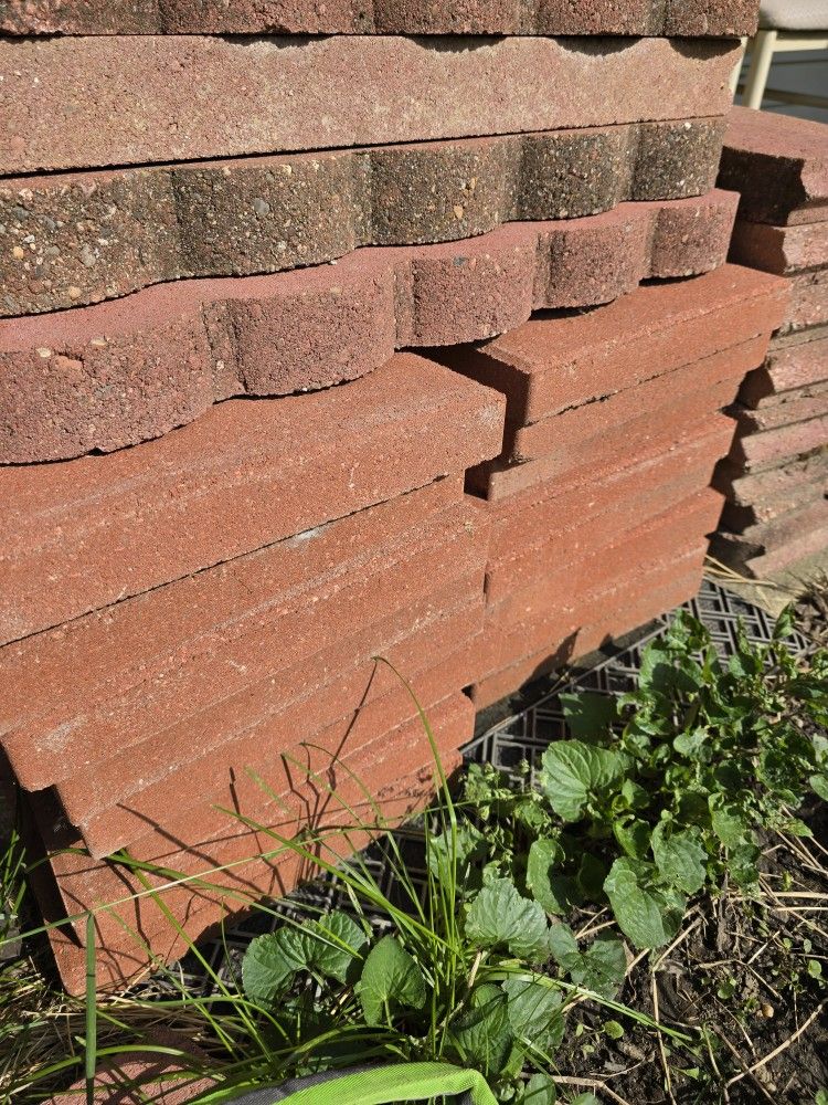 Pave Stones