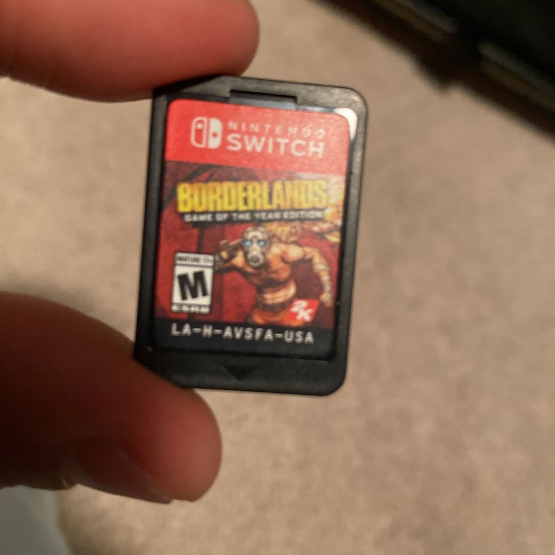Nintendo Switch Game