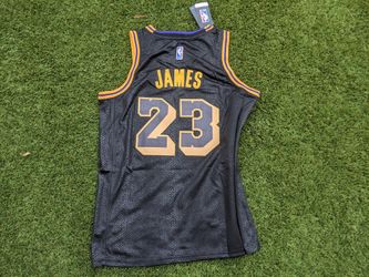 New lebron james medium lakers jersey
