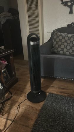 Fan