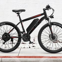 Totguard electric bike