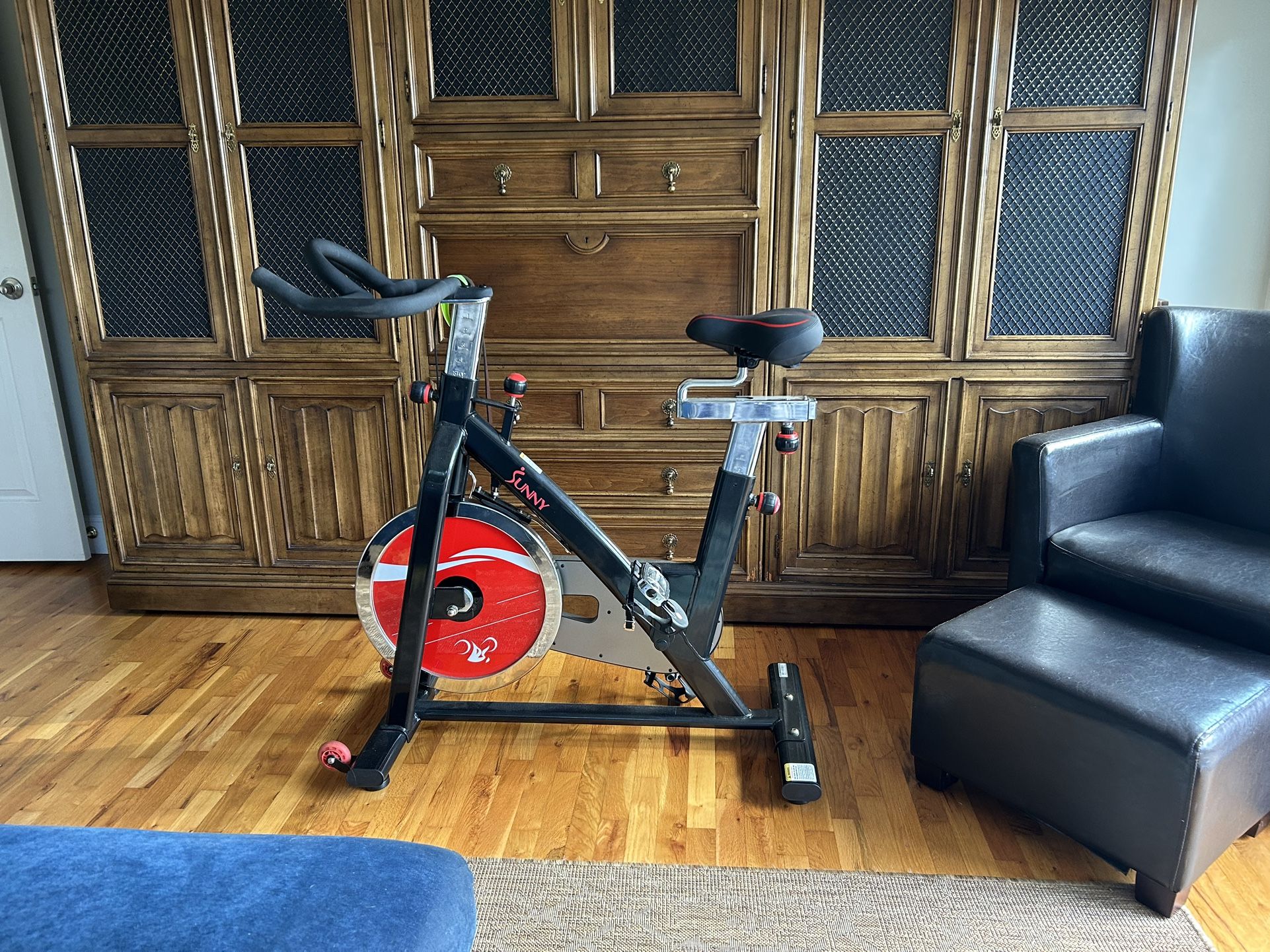 Sunny Exercise Bike