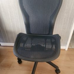 Aeron popular no arms