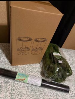 Reptile, humidifier, and extras