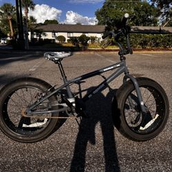 Bmax Mongoose