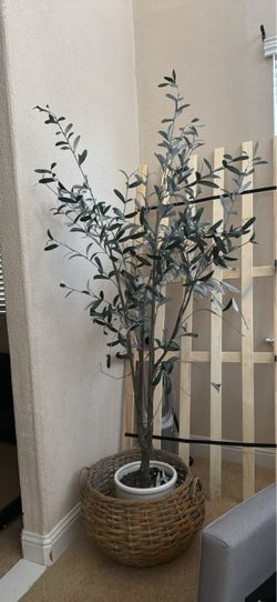 Faux Olive Tree in Wicker Basket