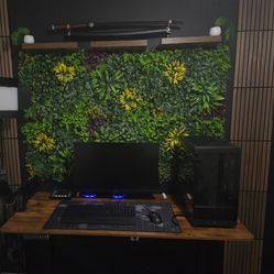 Complete Gaming Setup / Computer gaming