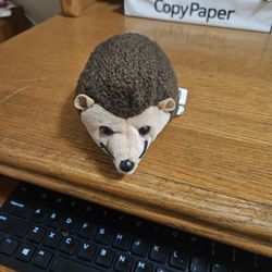 TY Beanie Babies "Prickles The Hedgehog" Mint 