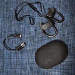 Beats by Dr. Dre Powerbeats3 Wireless Ear-Hook In-Ear Black Mic, Case