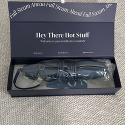 Hand Held Steamer Iron