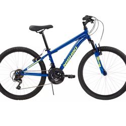 Green Nishiki Bike