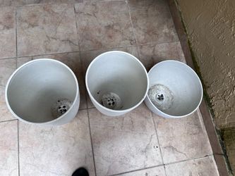 Three white plants pots