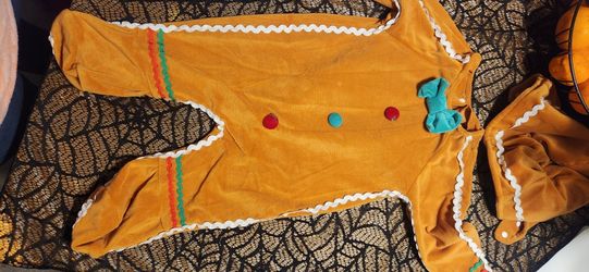 New Babys Gingerbread Costume