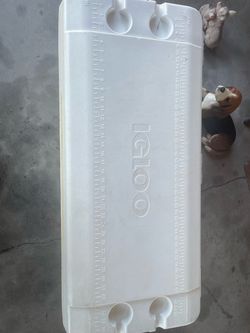 Igloo Cooler
