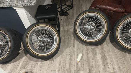 17in  swangs