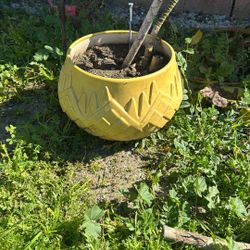 VINTAGE POT WITH PLANT