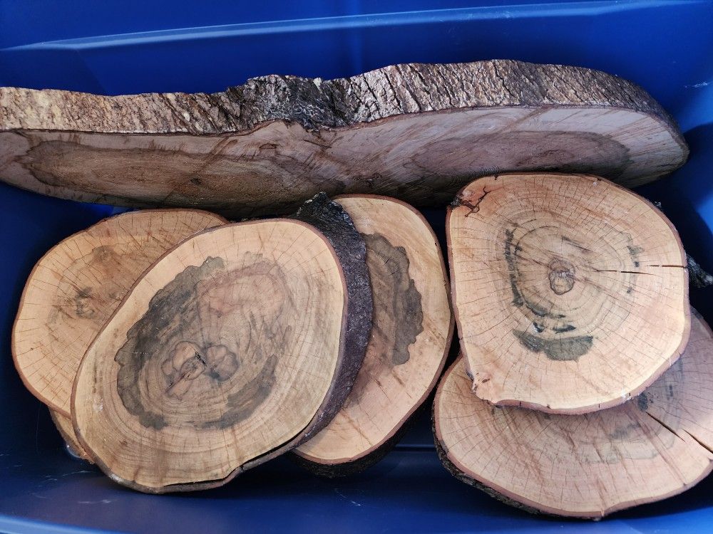 Wedding Wood Rounds Sealed