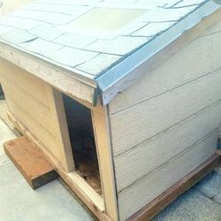 Dog House For Sale (Great For Med To Large Dog)